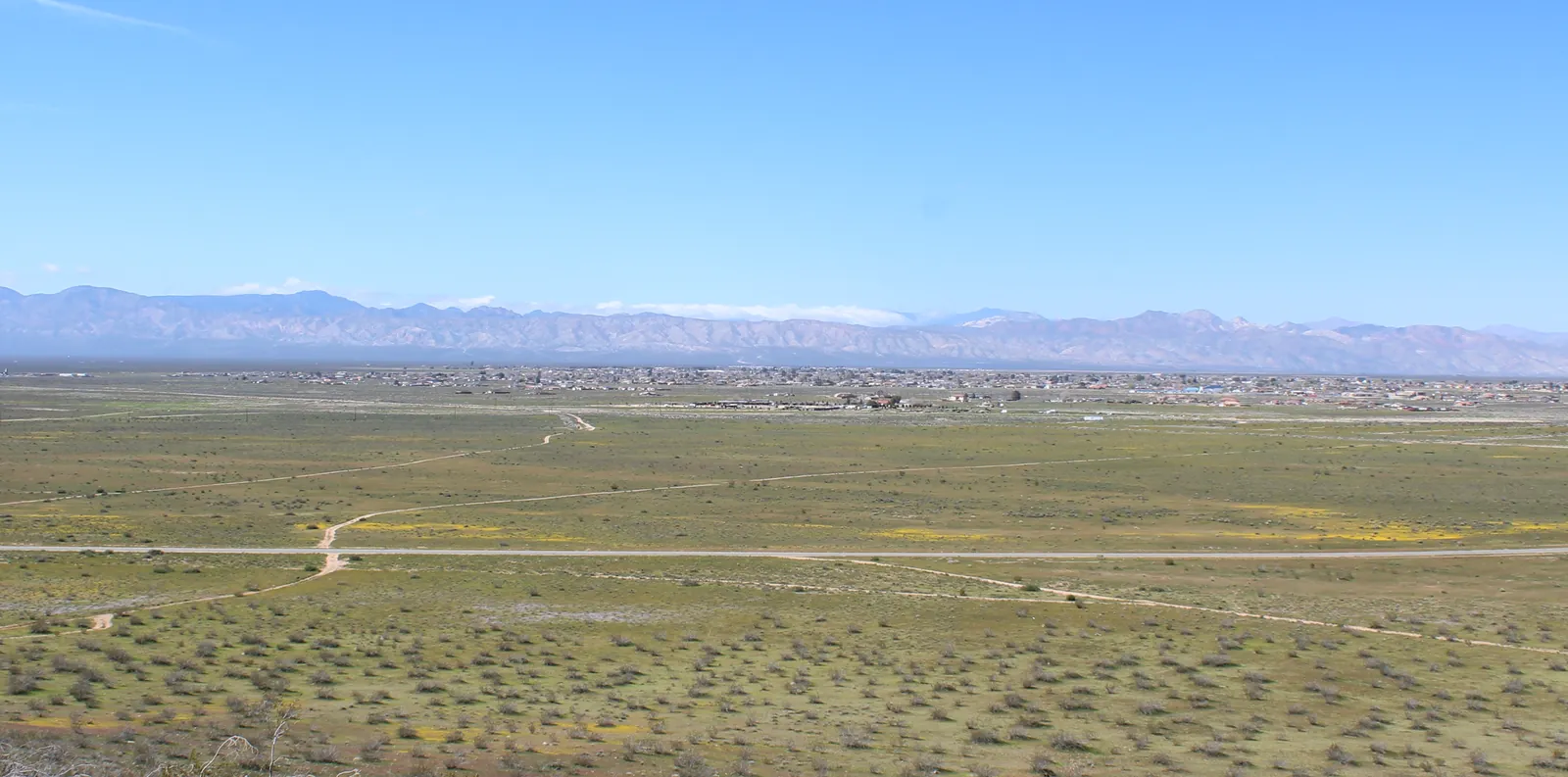 A wide view from a desert hilltop over green scrub, yellow wildflowers and straight dirt roads to the low, spread-out houses of California City, with the snow-streaked southern Sierra Nevada along the horizon.