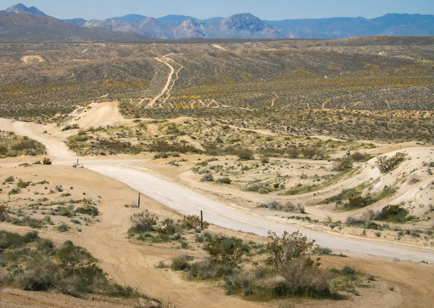 Sandy riding trails winding through desert scrub dotted with yellow spring flowers in the Dove Springs OHV area, with dirt tracks climbing the brown hills beyond and a mountain range behind.