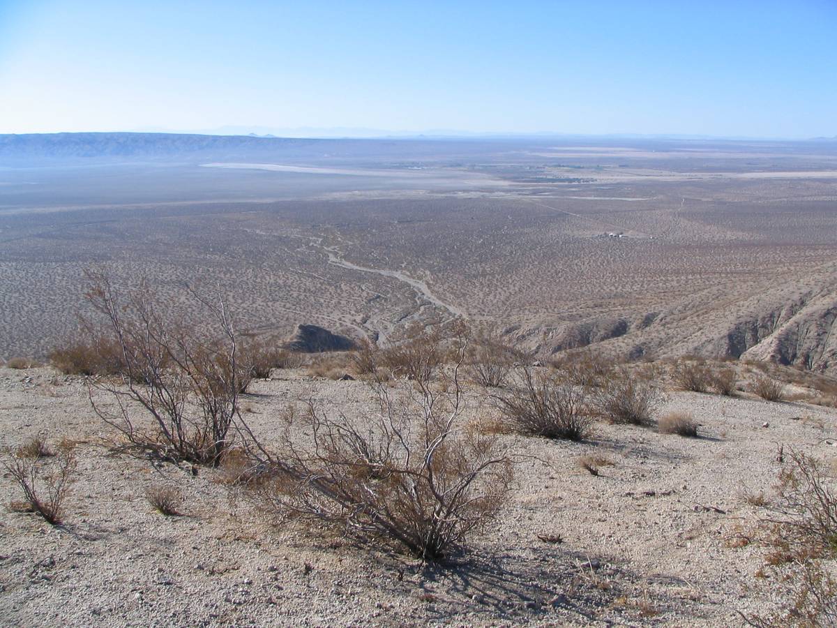 View from a desert ridge of dry scrub in the foreground and a broad, flat, hazy desert valley stretching away to low mountains on the horizon, with a wash winding down out of the hills below.