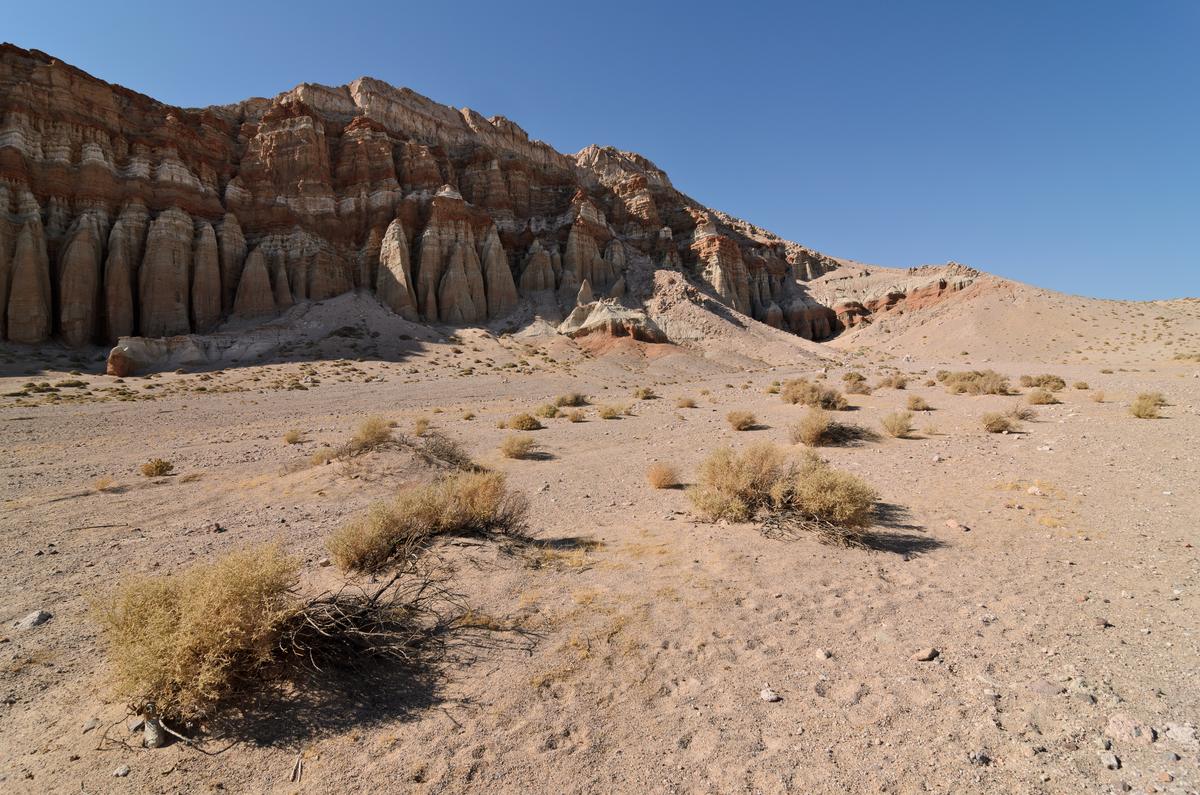 A long wall of red and cream cliffs eroded into vertical fins, above a gentle sandy slope with scattered dry shrubs.
